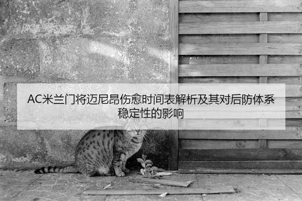 AC米兰门将迈尼昂伤愈时间表解析及其对后防体系稳定性的影响